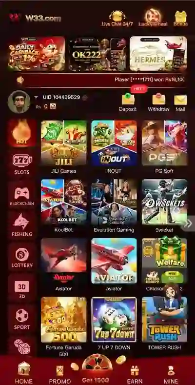 W33 Game