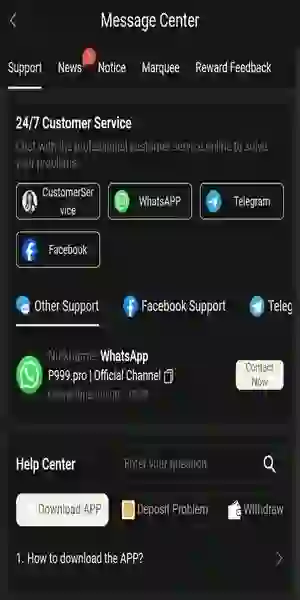 P999 Game